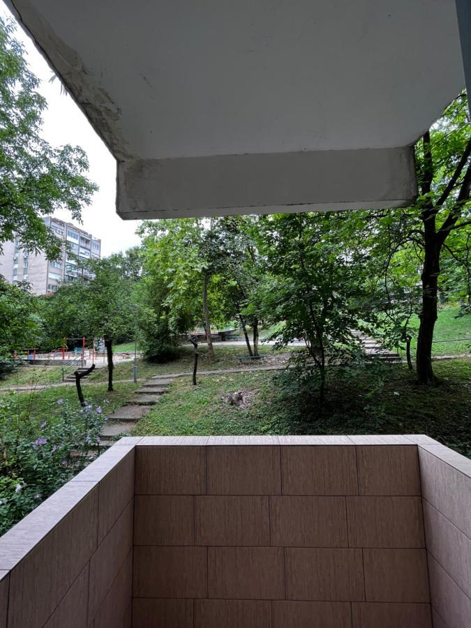 Apartman Sasha 2 Βελιγράδι Εξωτερικό φωτογραφία