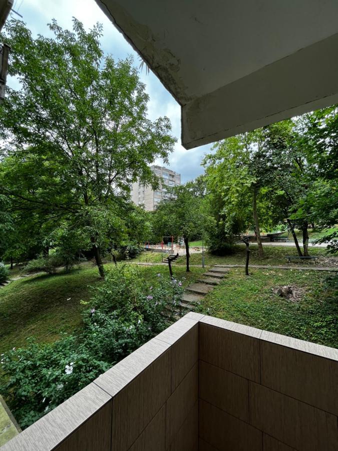 Apartman Sasha 2 Βελιγράδι Εξωτερικό φωτογραφία